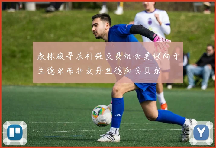 森林狼寻求补强交易机会更倾向于兰德尔而非麦丹里德和戈贝尔