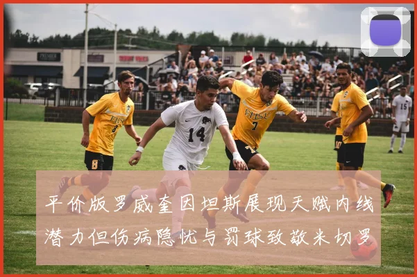 平价版罗威奎因坦斯展现天赋内线潜力但伤病隐忧与罚球致敬米切罗